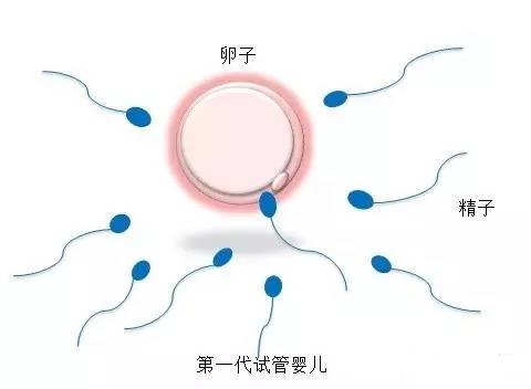 关于清砚堂中医馆